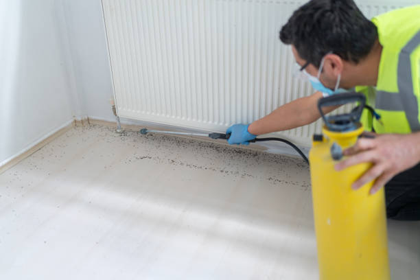 Best Best Pest Control Companies  in Hagerstown, IN