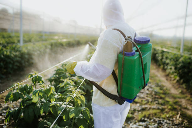 Best Affordable Pest Control Services  in Hagerstown, IN